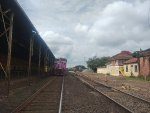 RUMO 608